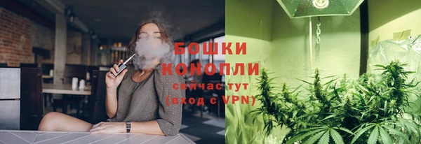 крисы Бугульма