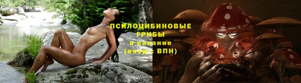 круглые Богданович