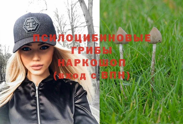 каннабис Бронницы