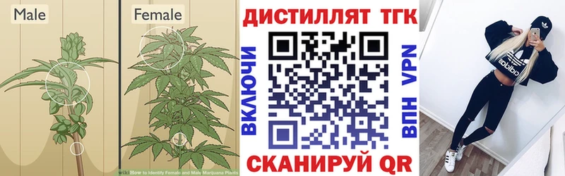 Купить закладки  Верхнеуральск  Дистиллят ТГК THC oil 